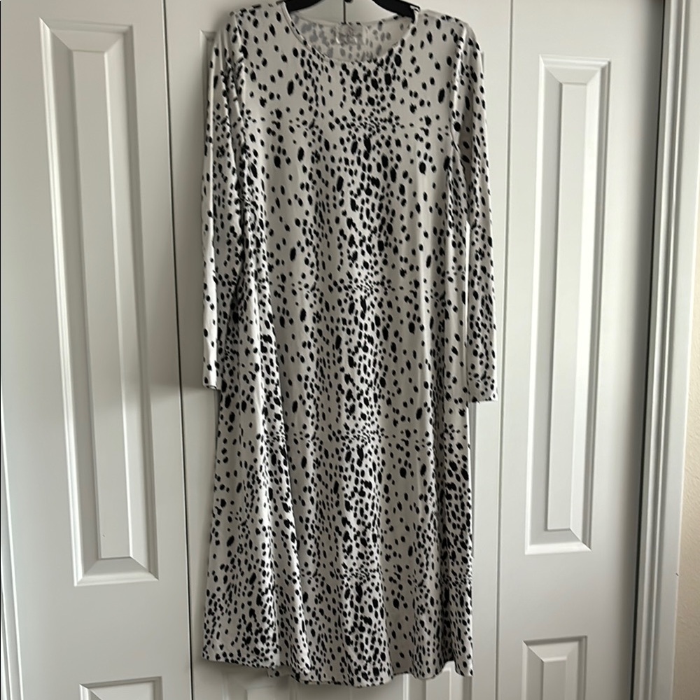 Dainty Jewells Black and White Polka Dot Dress